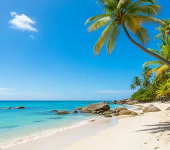 Confira 3 empresas que fazem o passeio para Maragogi em Maceió